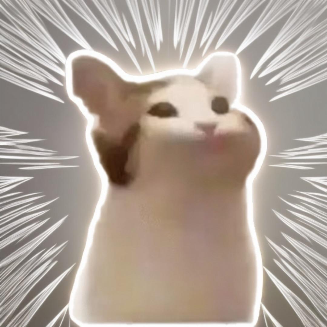 大白成长日记