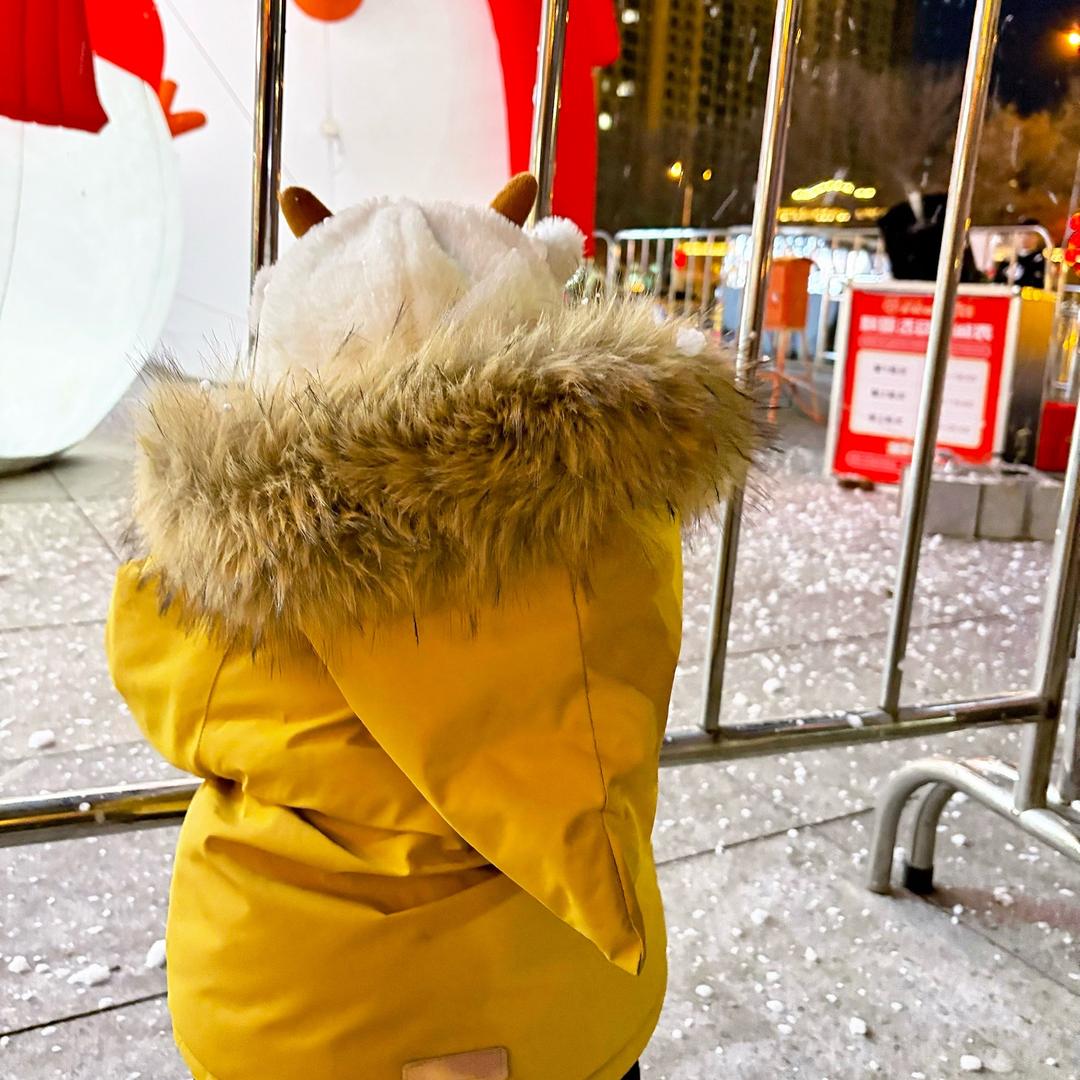 .瑶一瑶（好物分享）