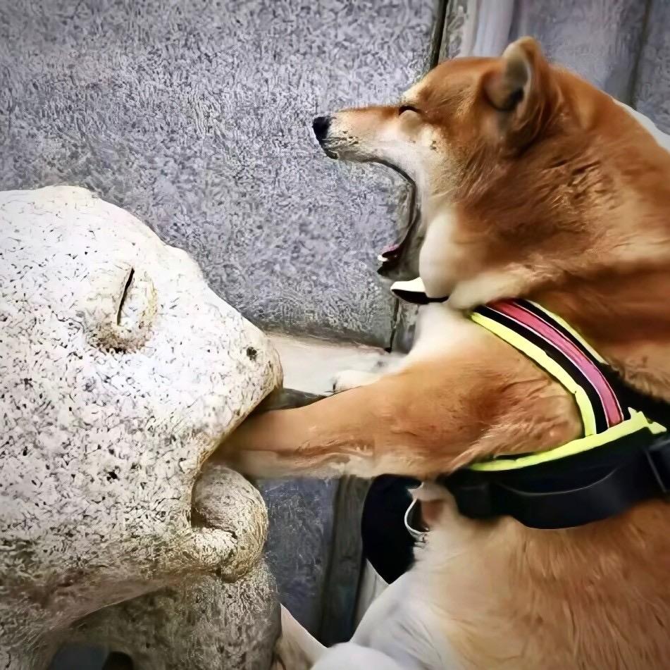 乔悸江白头像