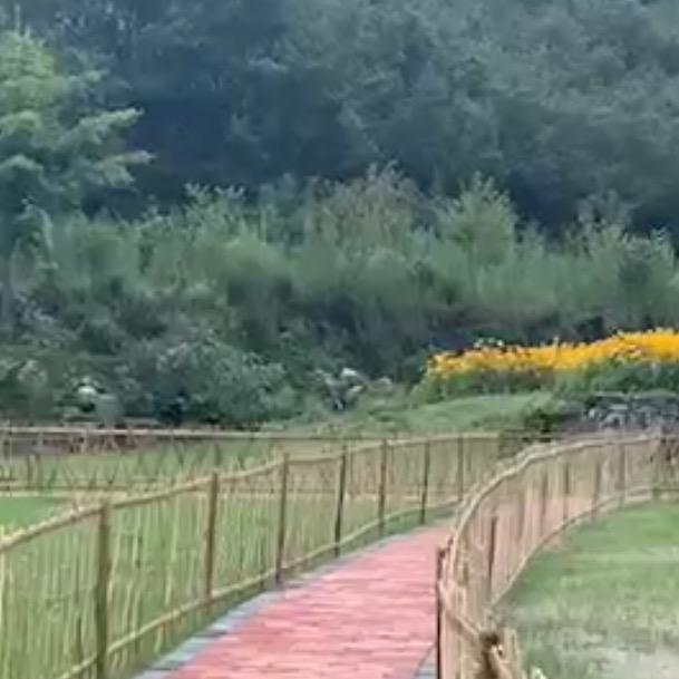 没有秋天的季节