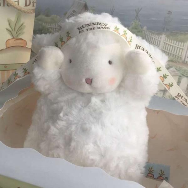金🐑
