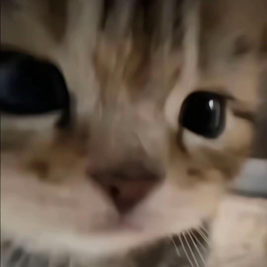 欲熙林