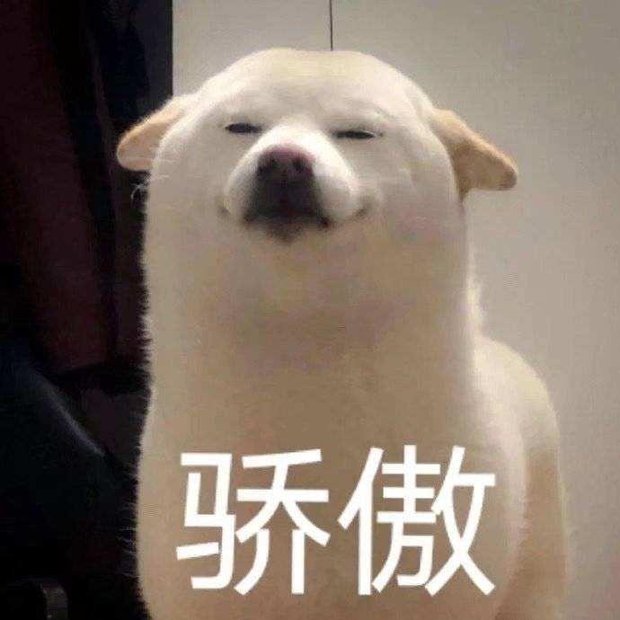 是仔仔不是崽崽🌝🌝