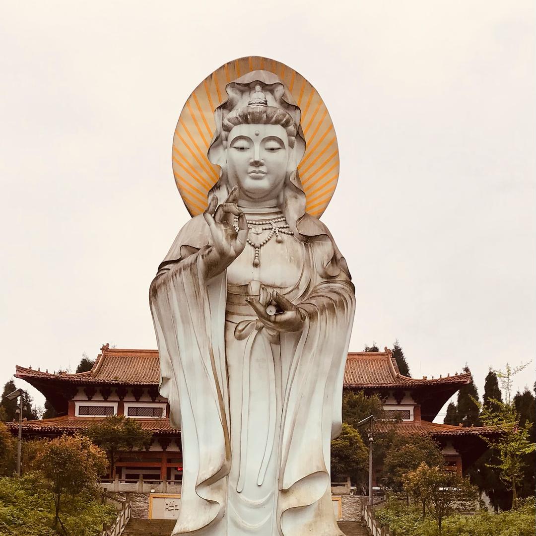衲子一