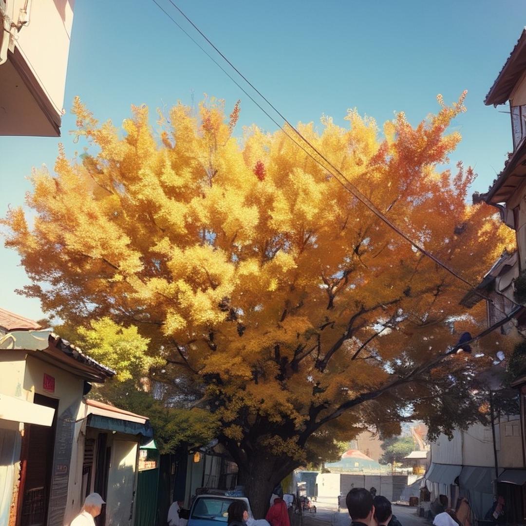 阿锂大巍去写生