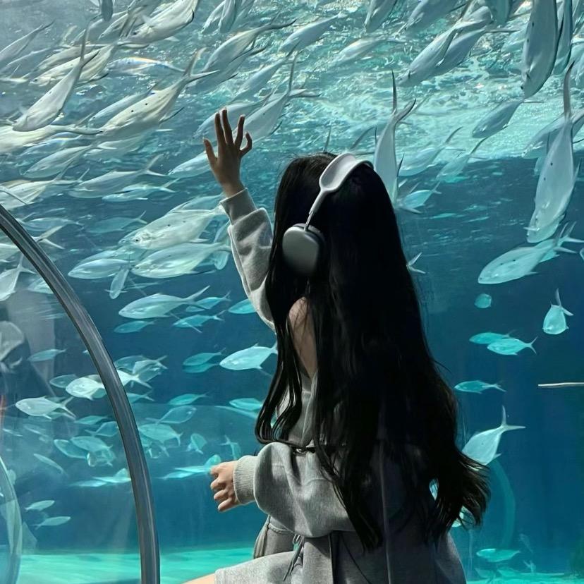 风流海豚🐬🐠🐟🐳🐋