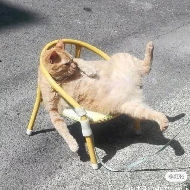 天上星°