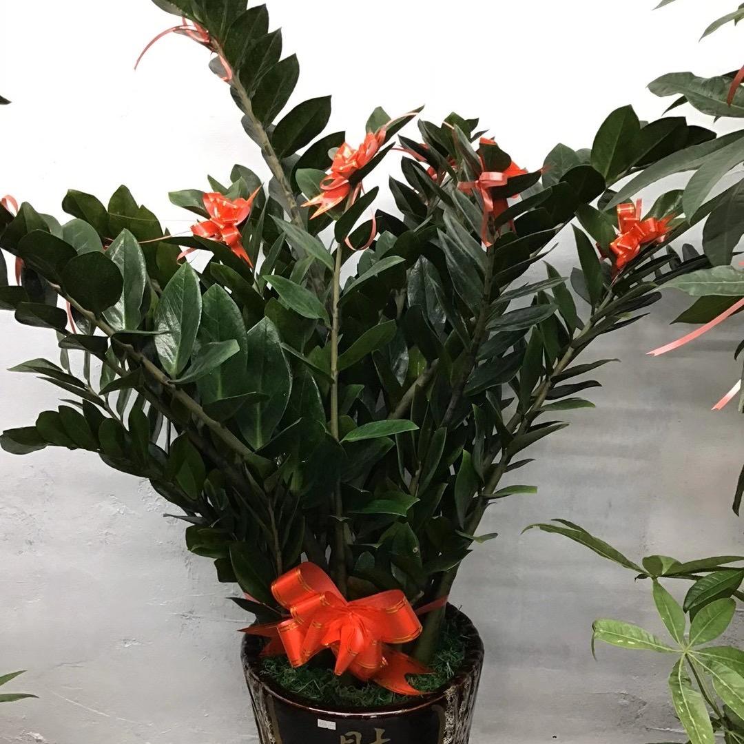 爱亿海