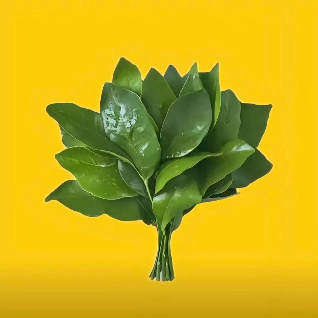 阿欢🔥零食推荐官🙋‍♂️