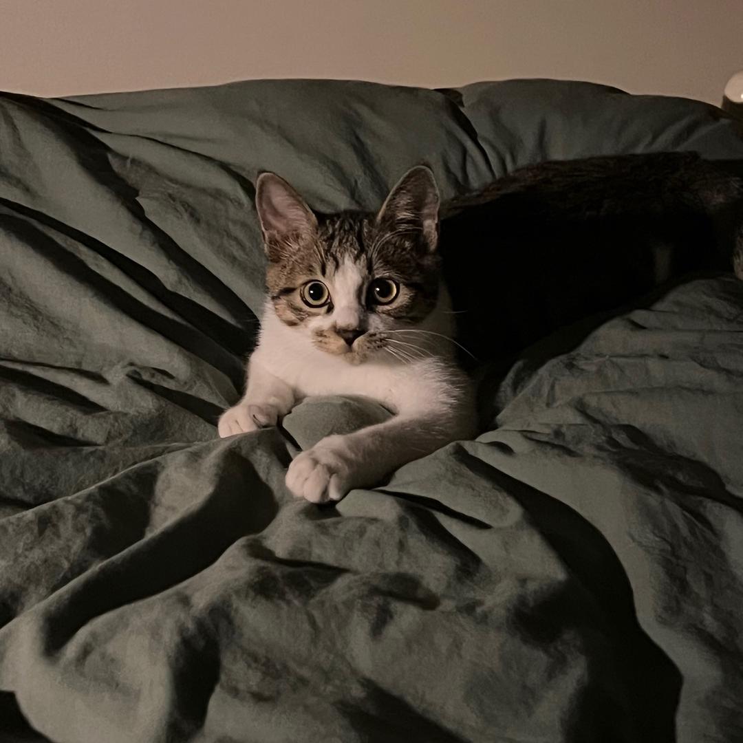 發仔安稳的幸福