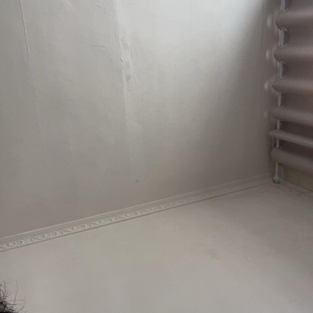 稿子放在粉丝群了