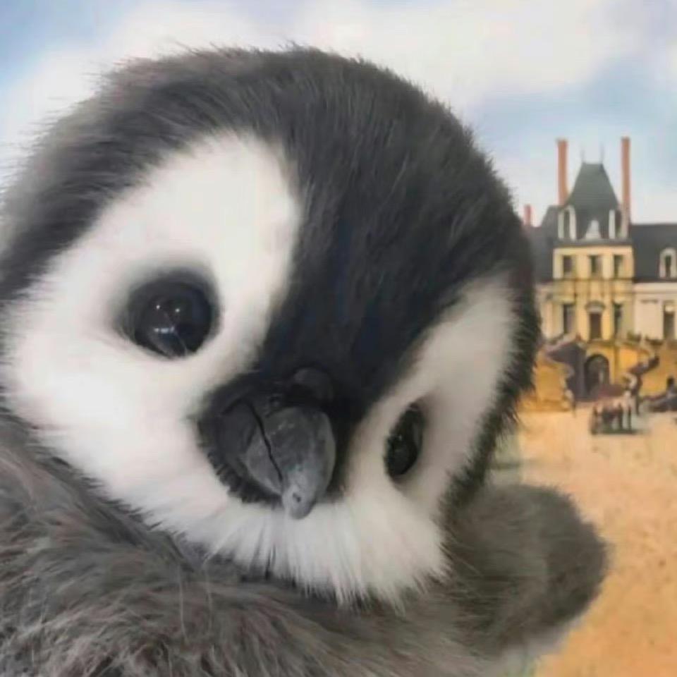 橙汁真不能加🧊