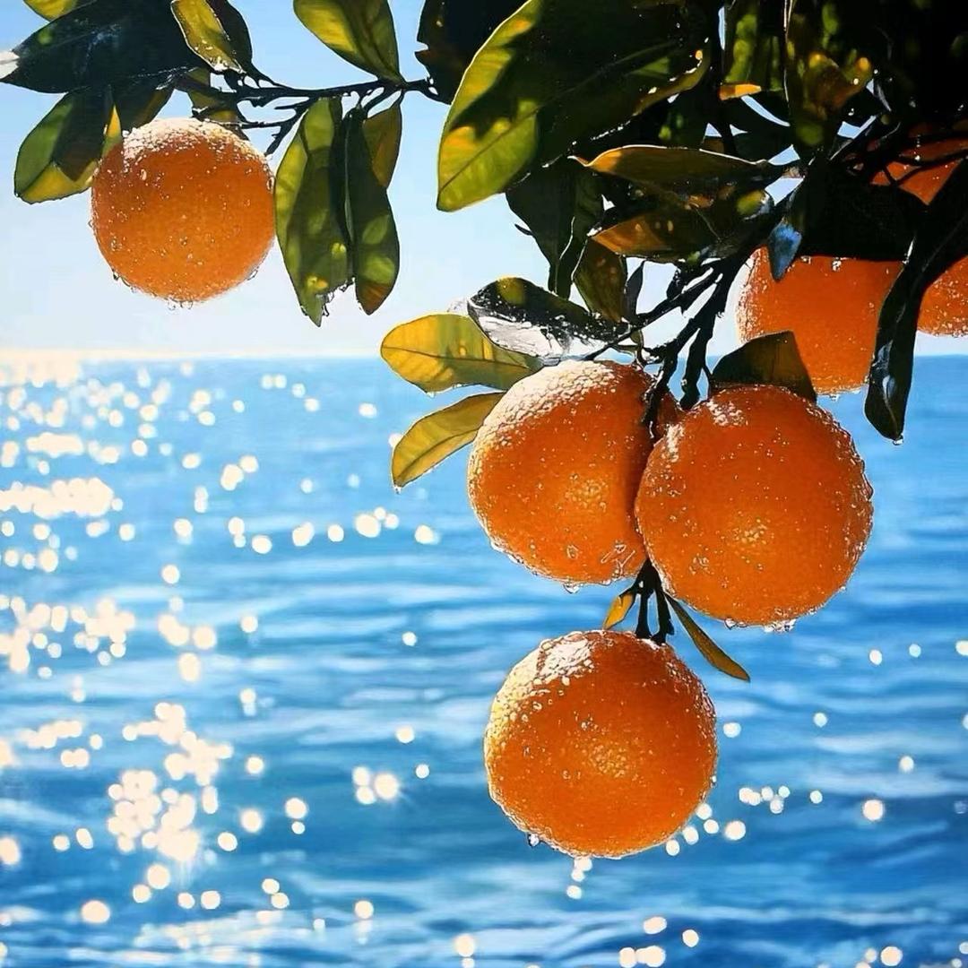 小甜橙🍊