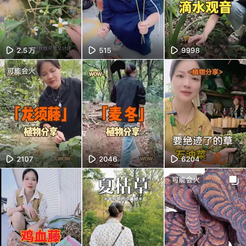 丰瑞中草药行