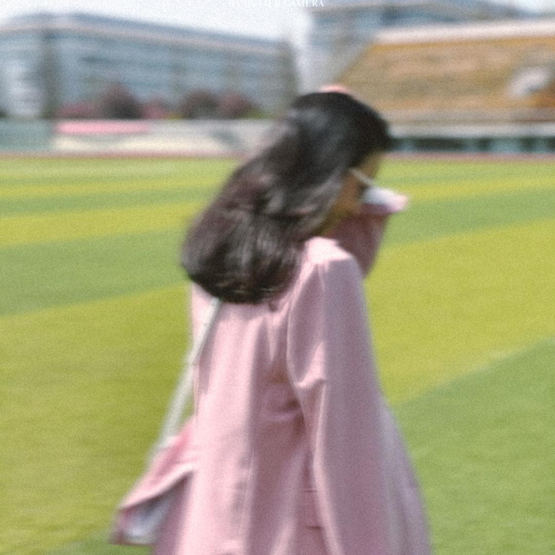 海豚🐬
