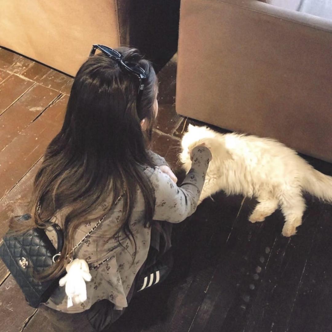 火鸡面小小王😉