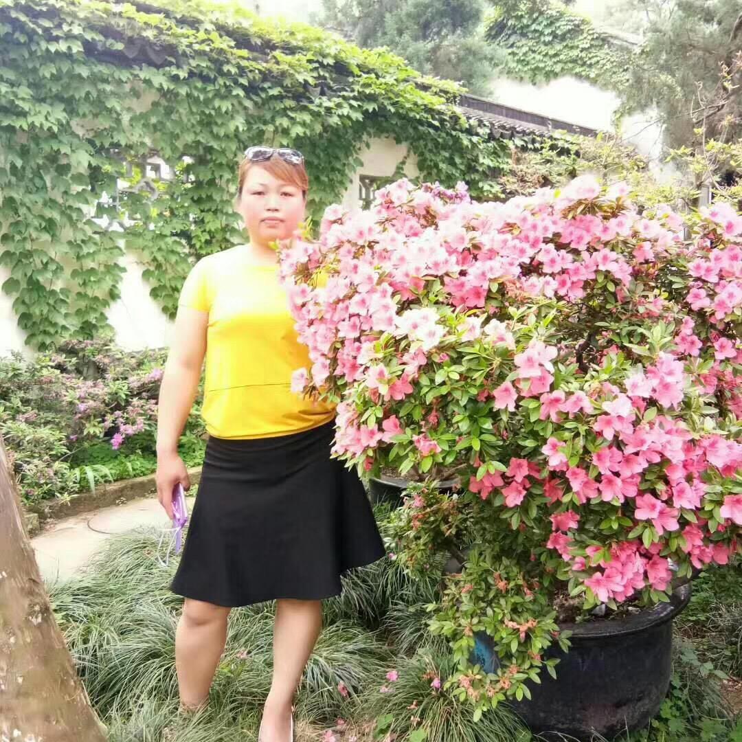 无言的结局