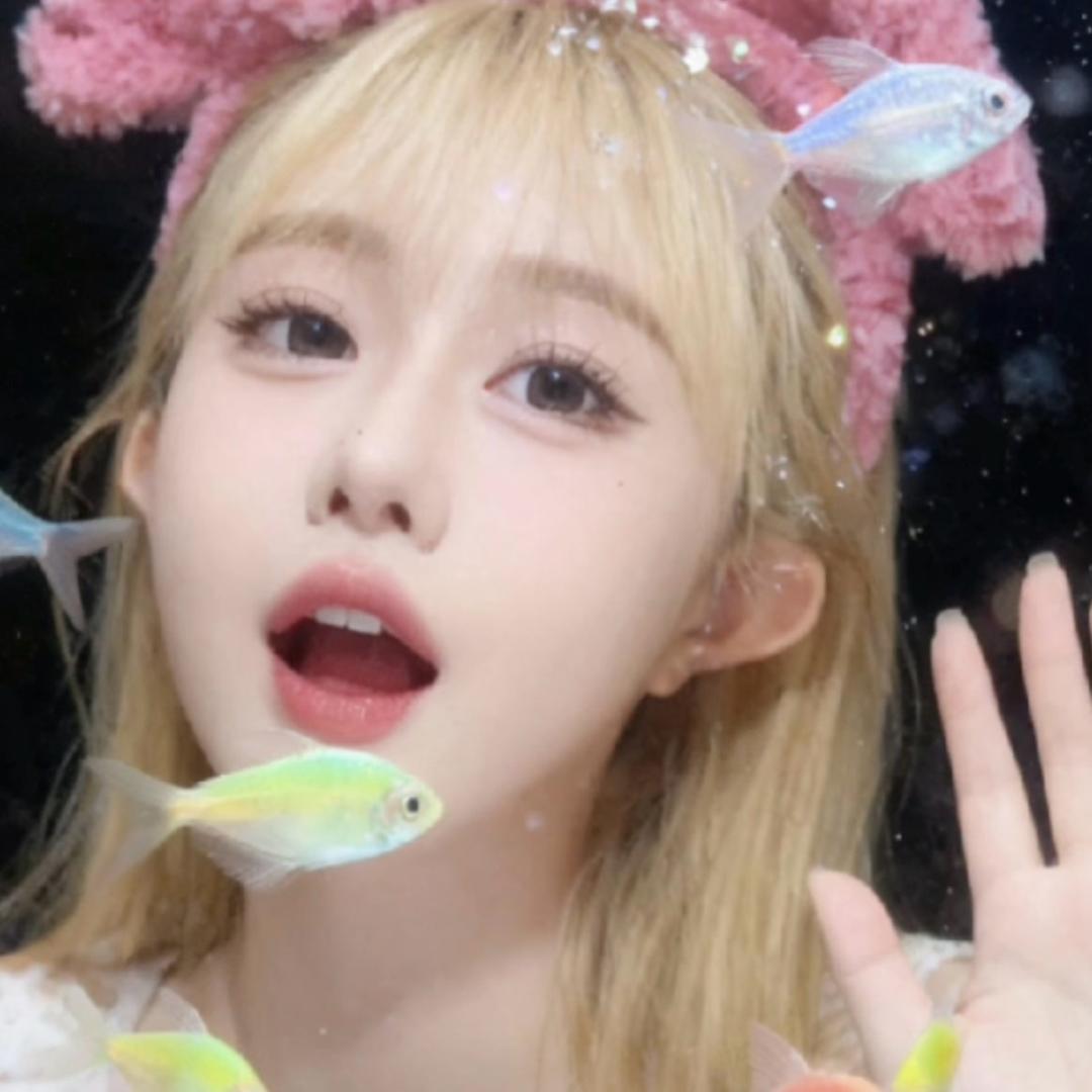 康忙baby