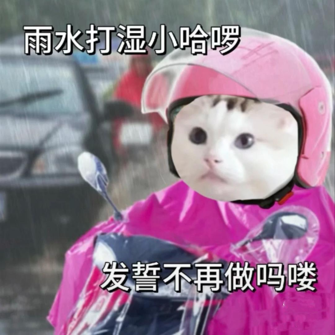 花果山美猴王女士