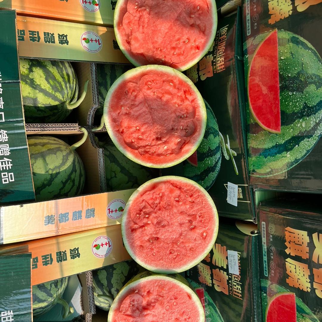 甜沁糖果蔬团队