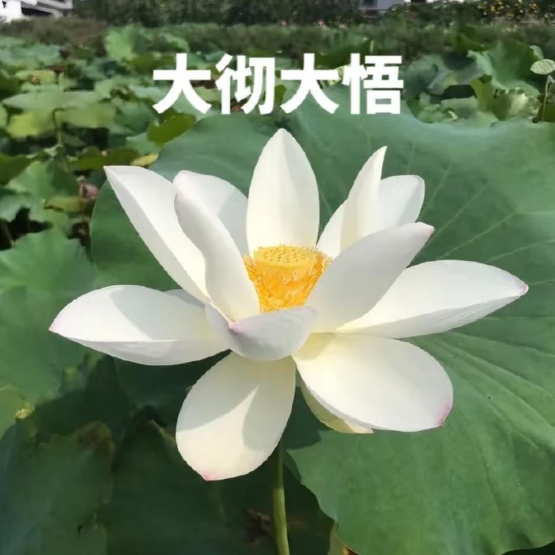 笑笑再笑笑