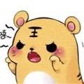 肖老虎🐯（巴基斯坦游子）