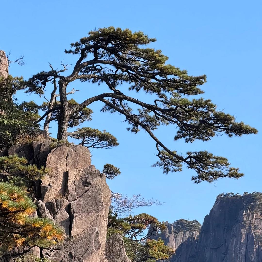 松山先生