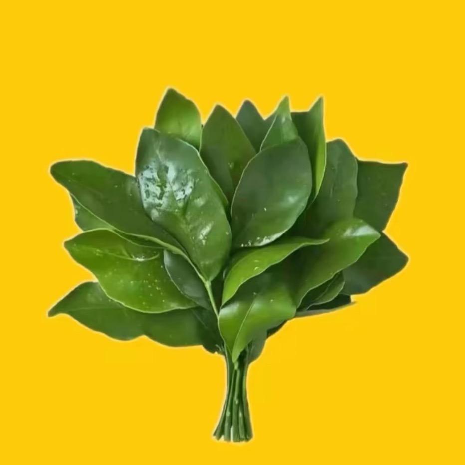 刘六