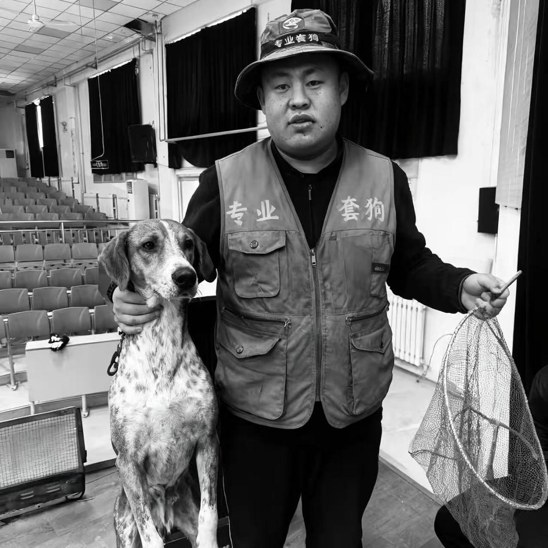 AAA福建套狗从未失手（套狗王）