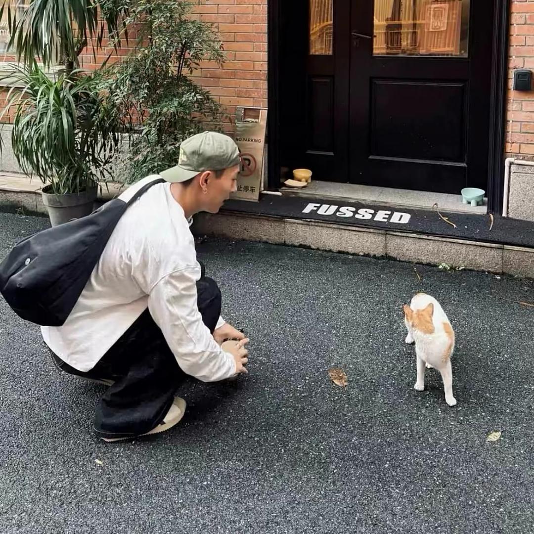 平凡之路.