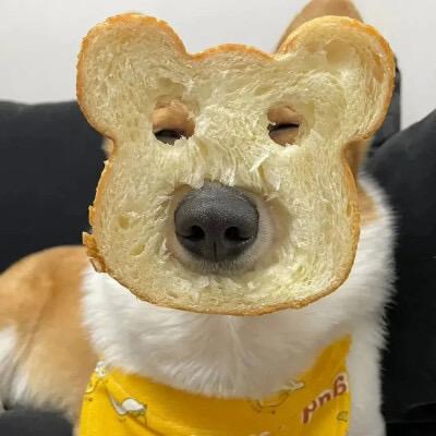 爱养鱼的小栗帽🌰