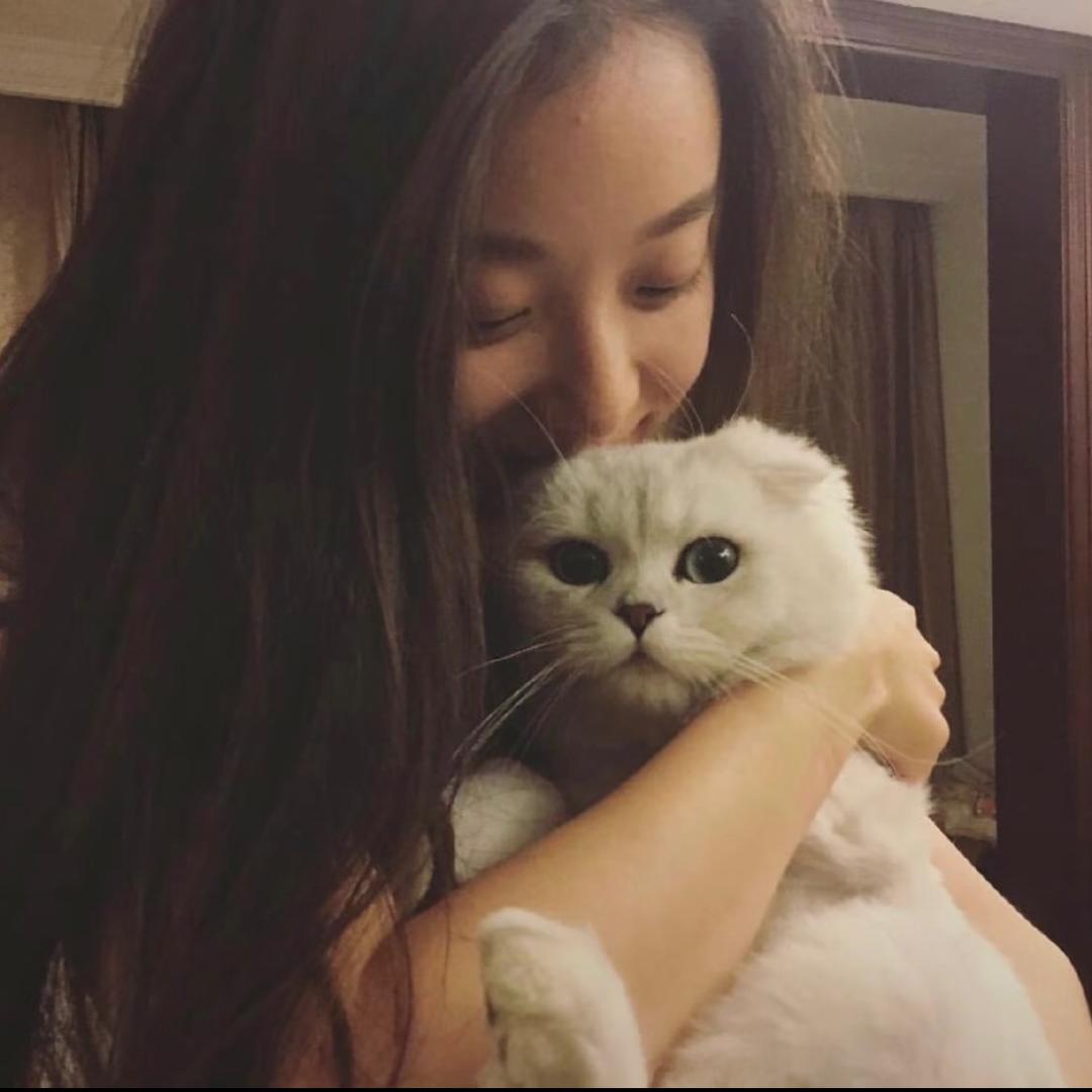 小王子y