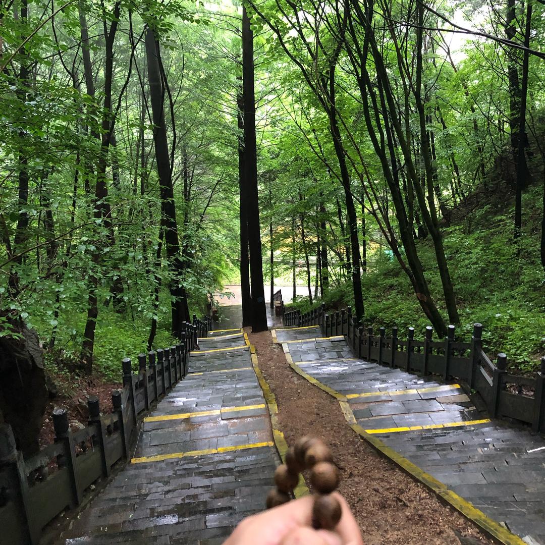 御劍乘风来。