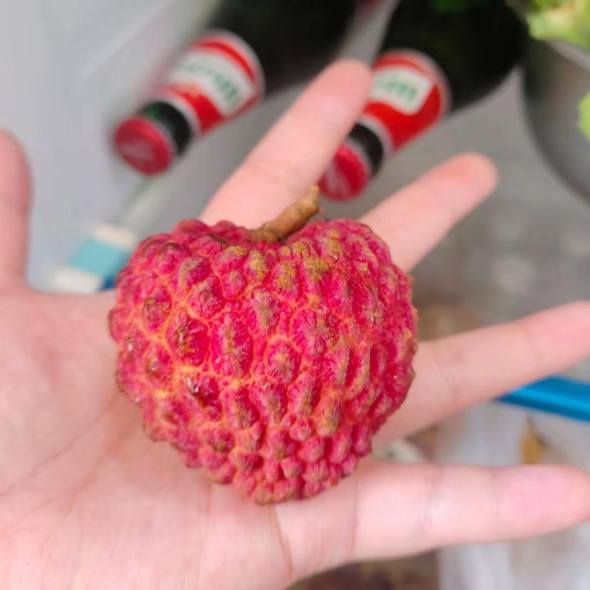 甜蜜蜜荔枝