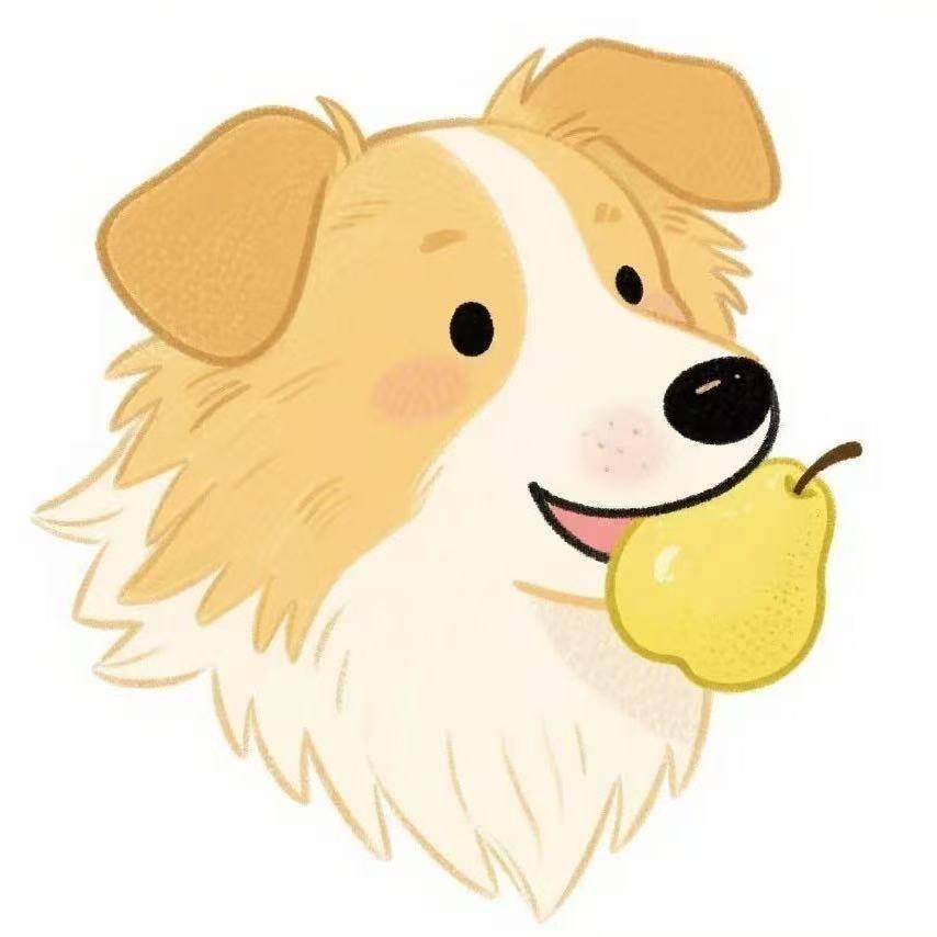 果果·贵州冰浆