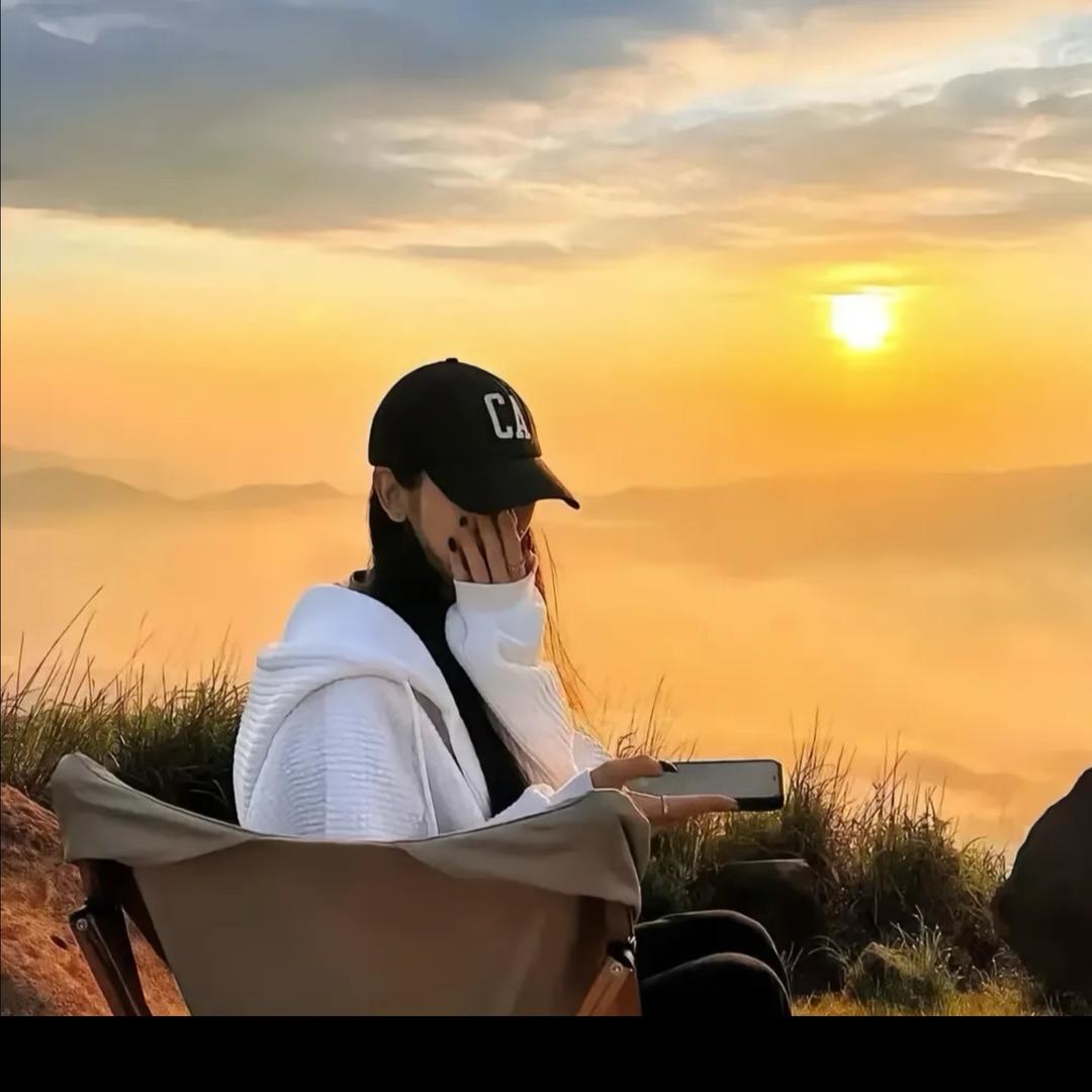 暮夏蔷薇