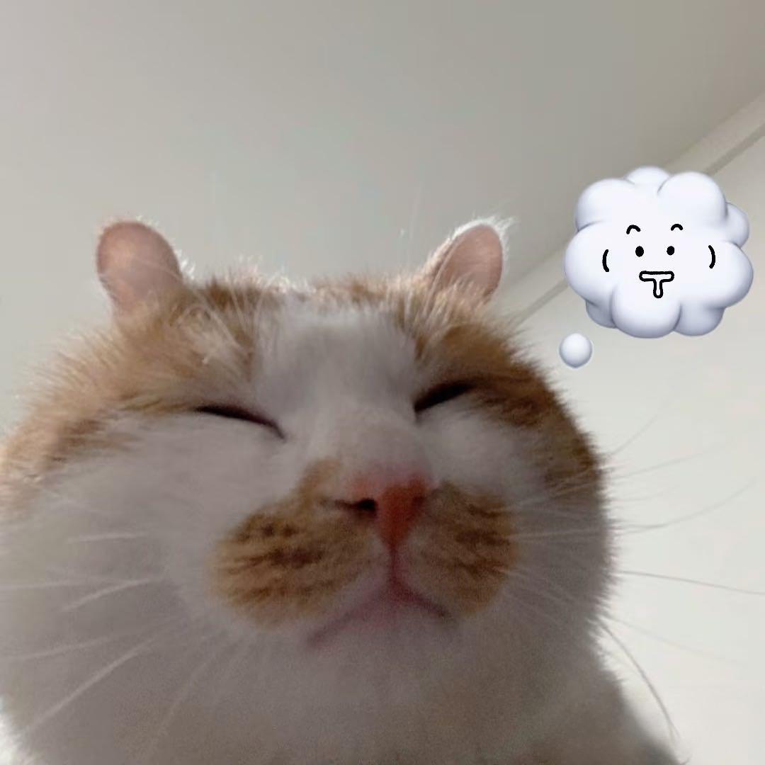 ooooo