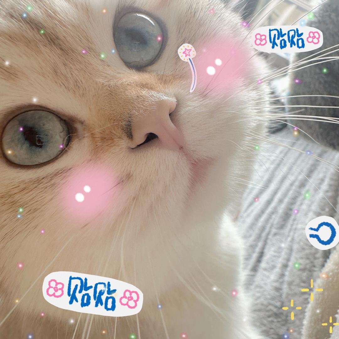Cathy桃七
