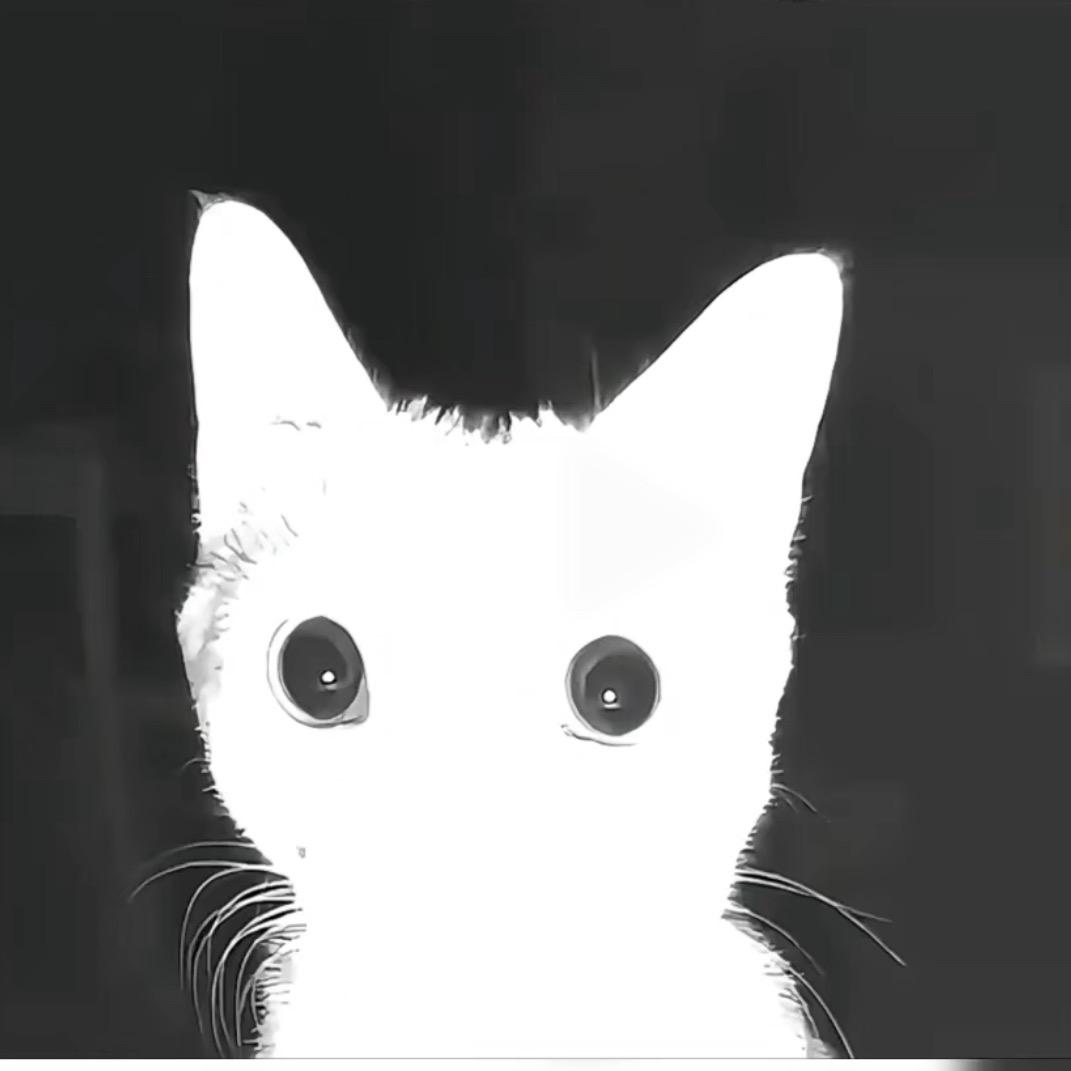 笨笨