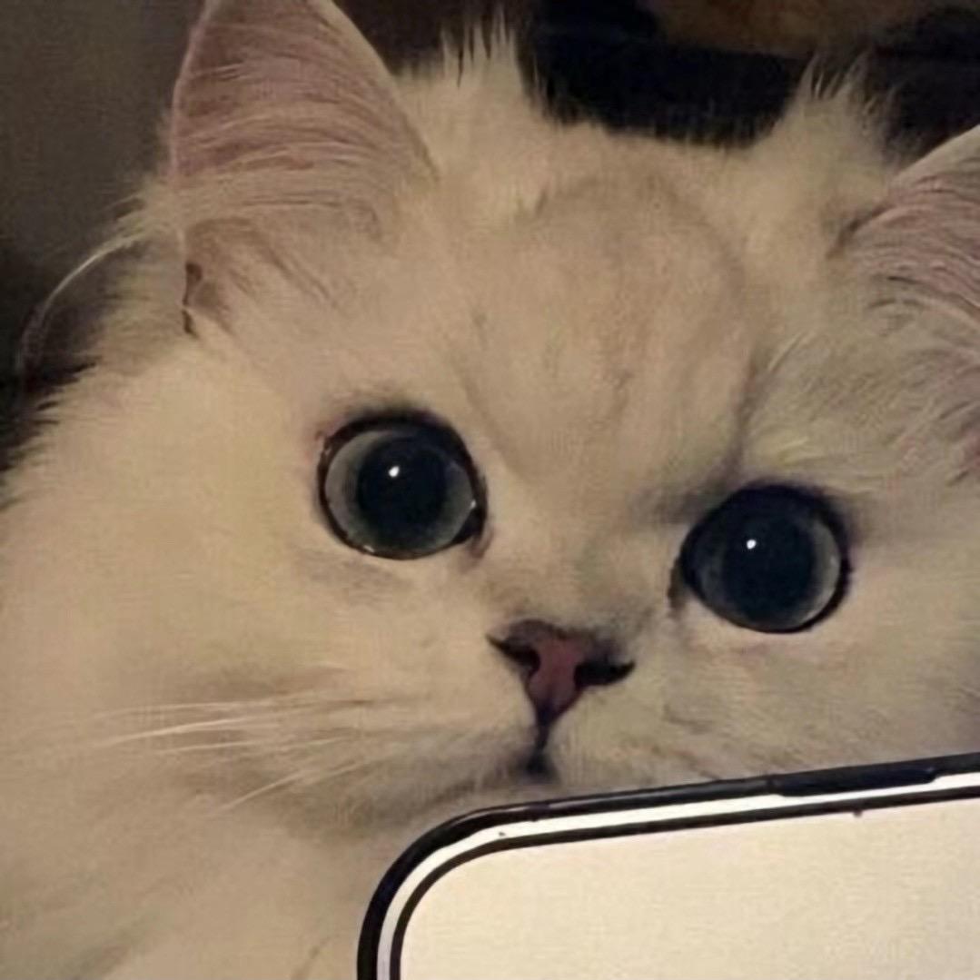 Hint