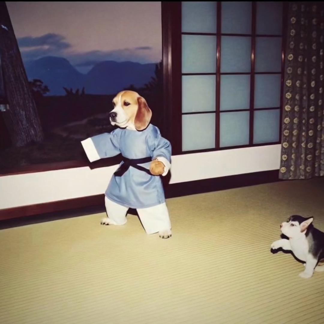 娃pro