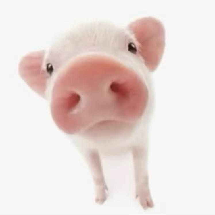 老公变0当上咯咯哒意外被我点