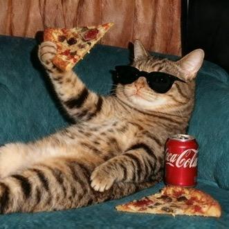 tyyyyyyyyyyy （无私信版）