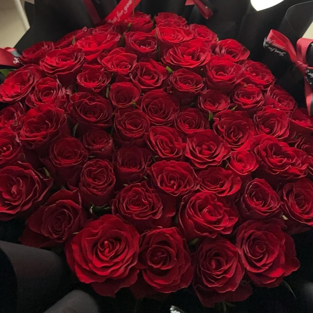 小橘子回来啦🍊