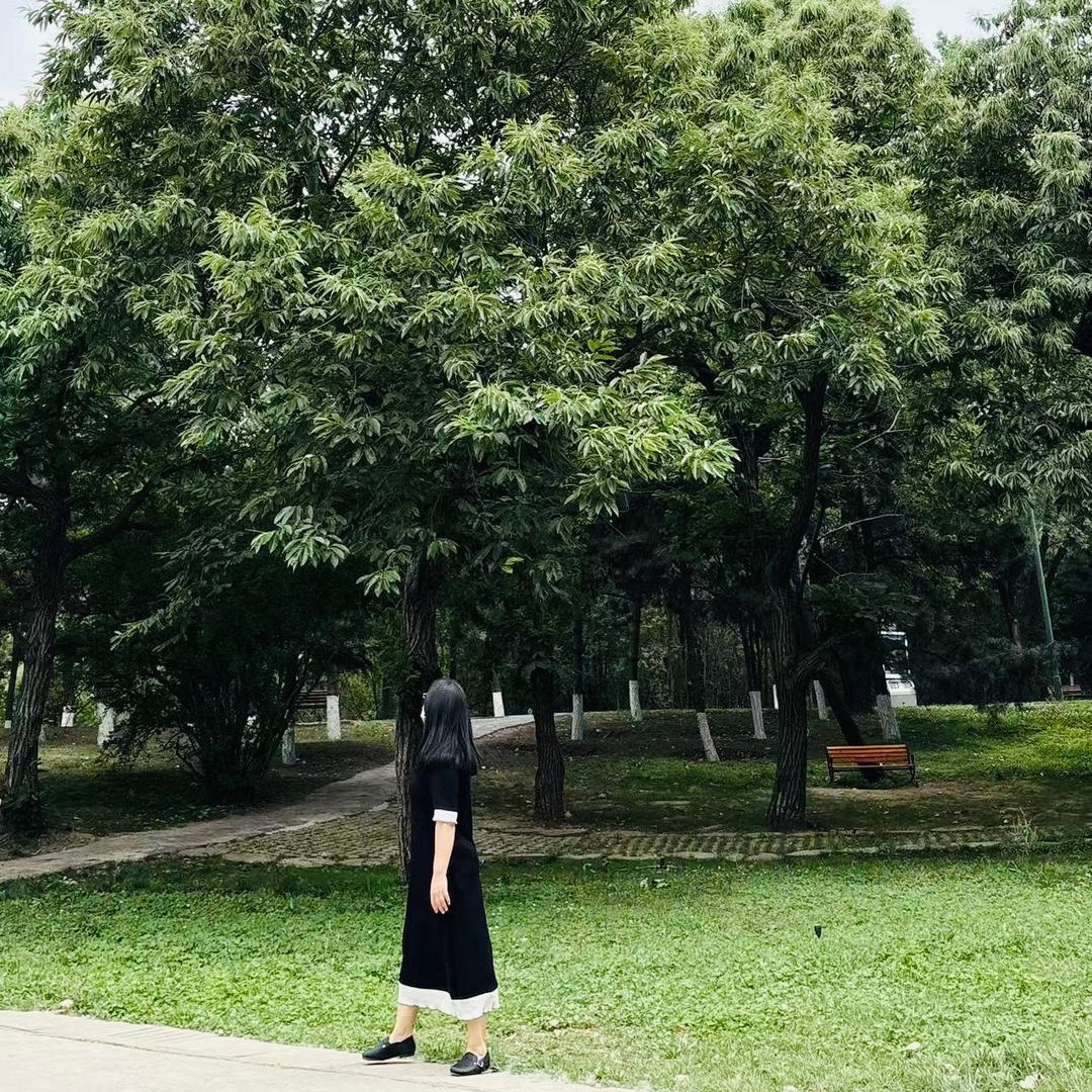 牛和马不是牛马