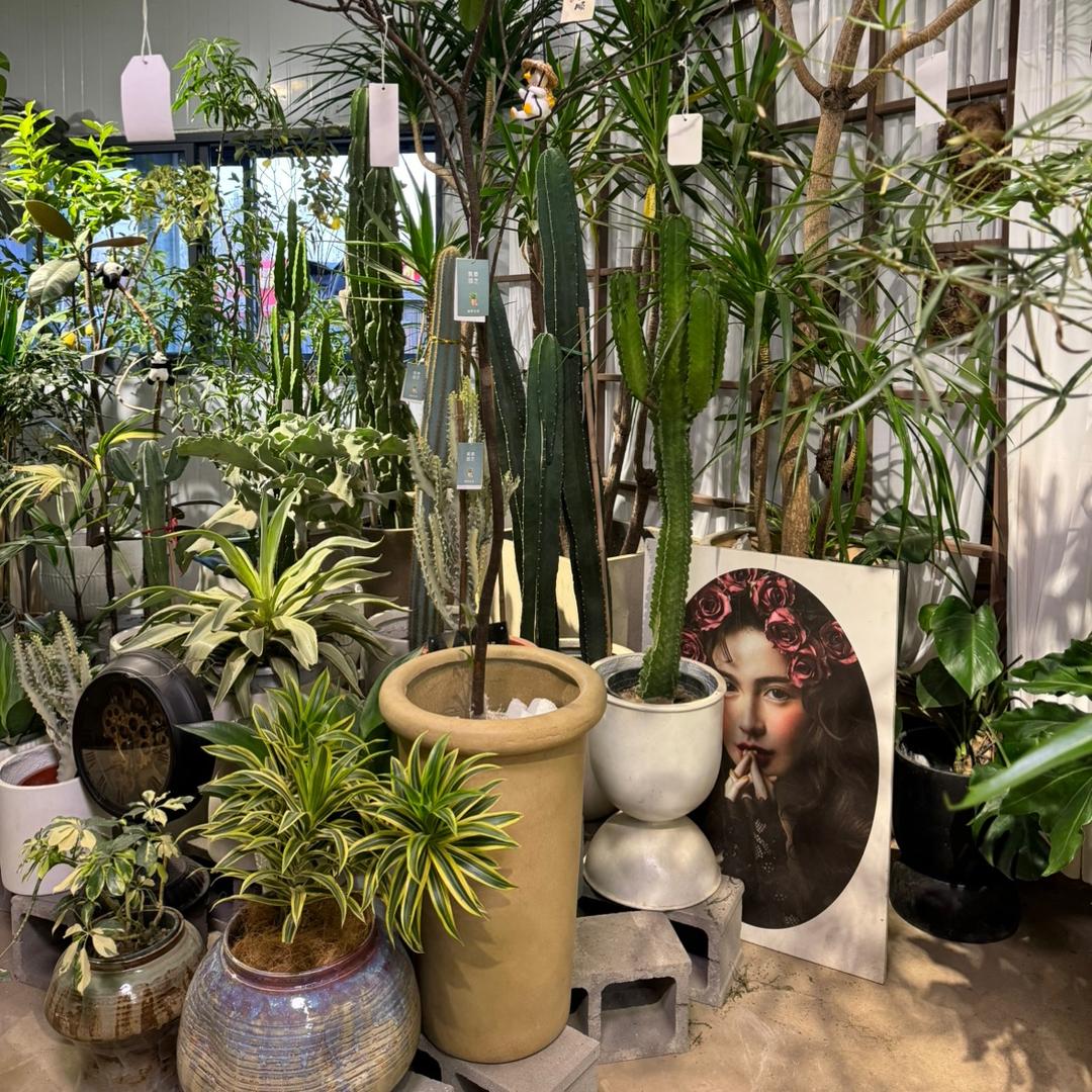 峻腾花盆