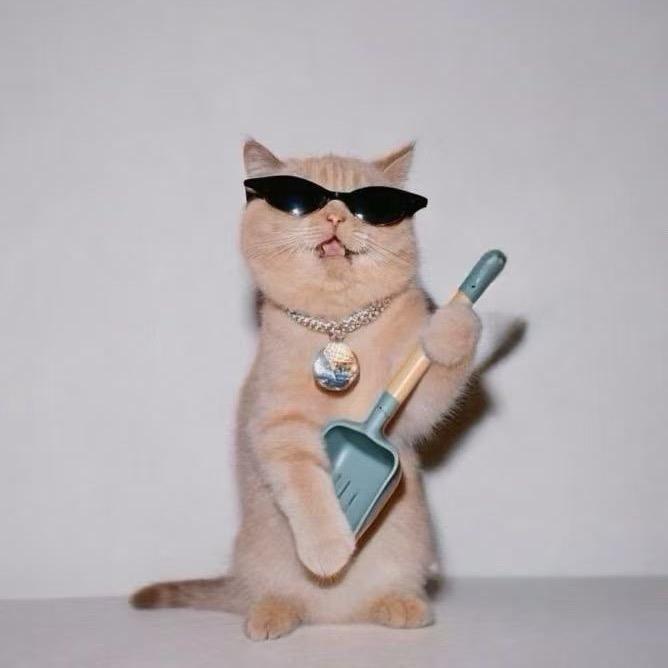 （新）快铲宠物优品