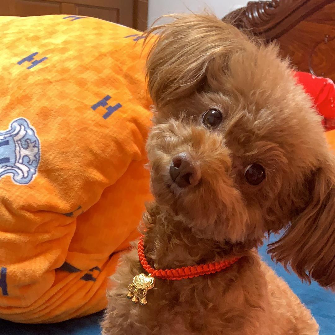 💋 柒小姐 ²⁰²⁵ᰔᩚ 💋