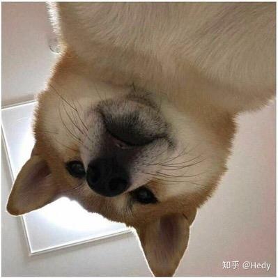 老王爆笑社