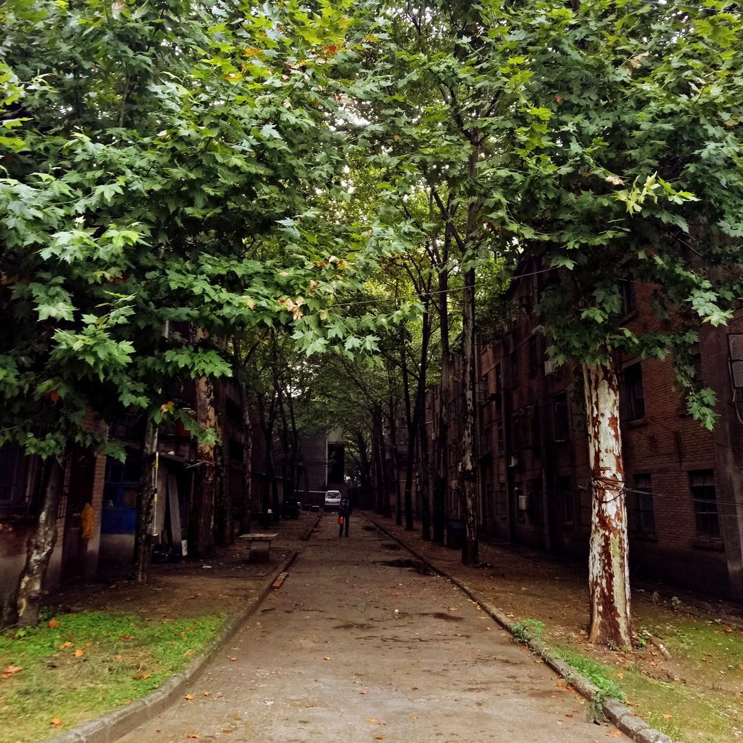 糖炒栗子和落花生